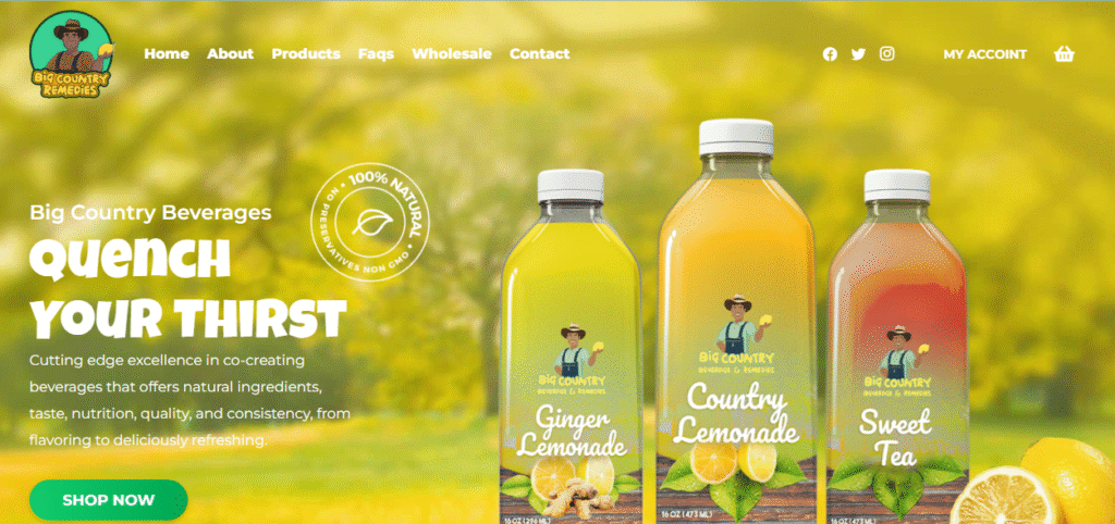 Wordpress Portfolio-3