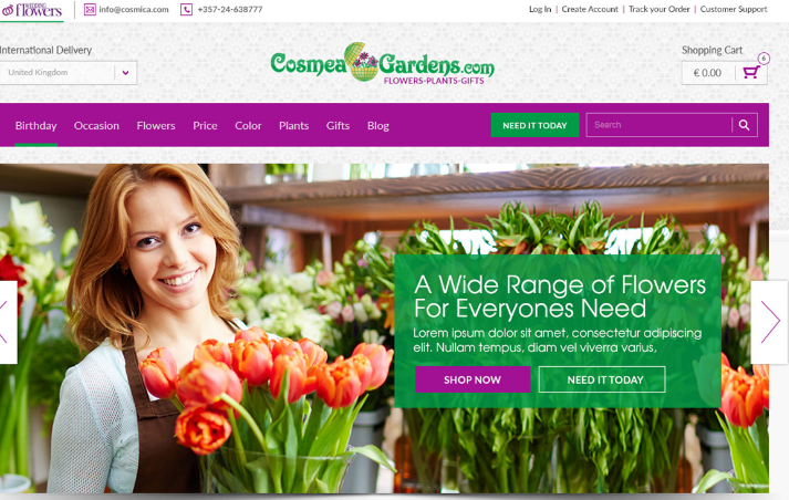 Wordpres Portfolio-2